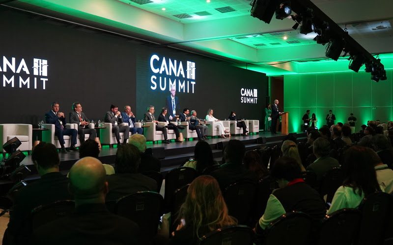 Juros elevados e crédito mais restrito colocam fluxo de investimentos na cana em debate