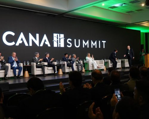 Transformações na produção e no mercado ampliam perspectivas para a cana no Brasil