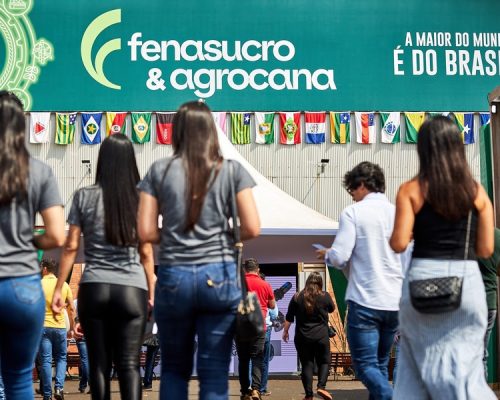 Presença feminina na bioenergia ganha espaço, inclusive em cargos de liderança
