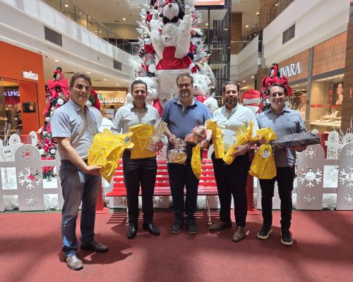 Árvore Solidária do ShoppingSantaÚrsula presenteia crianças de entidade de Ribeirão Preto